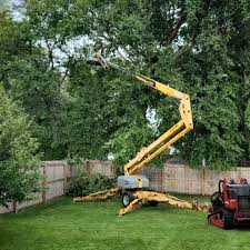 Artificial Turf Installation in Elk Creek, KY