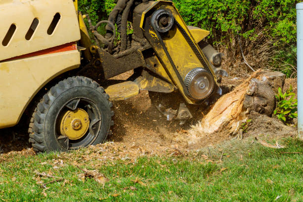 Lawn Grading and Leveling in Elk Creek, KY