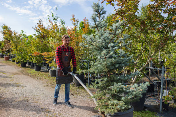 Best Tree Trimming and Pruning  in Elk Creek, KY