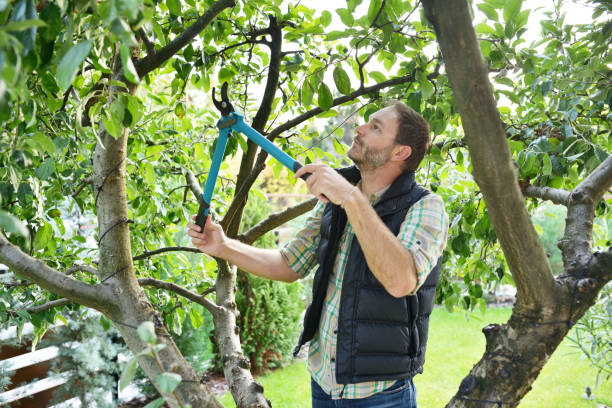 Best Lawn Watering Services  in Elk Creek, KY